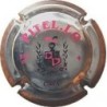 PITEL.LO-V.6460--X.09041