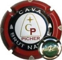 PICHER--X.26458 (LOT 2004/15 VERD)
