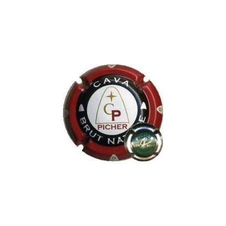 PICHER--X.26458 (LOT 2004/15 VERD)