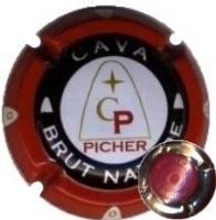 PICHER-V.1654--X.03357 (LOT 001 COLOR ROSA)