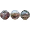 CAVES COLL FONT- V.5479-5480-5606--X.33619-47-8