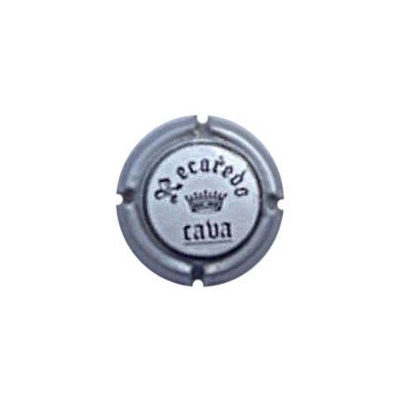 RECAREDO-V.0617--X.09935