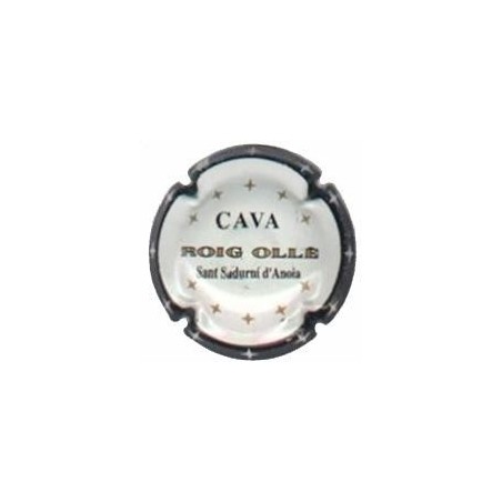 ROIG OLLE-V.0882--X.01040