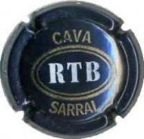 ROSA M TORRES-V.ESPECIAL--X.08674