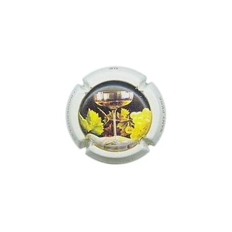 MAGUST-V.2563--X.09886