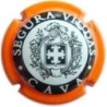 SEGURA VIUDAS--V.14173--X.38874