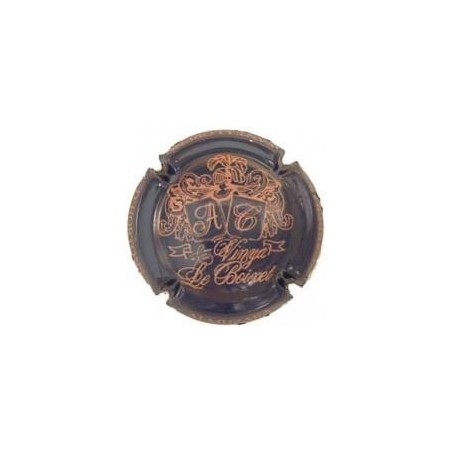 VINYA LE BOIXET-V.3768--X.03872