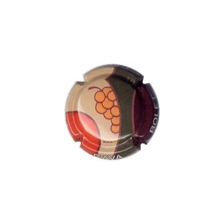 BOLET--V.16604-X.54956