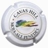 CAVAS HILL-V.3442--X.01072