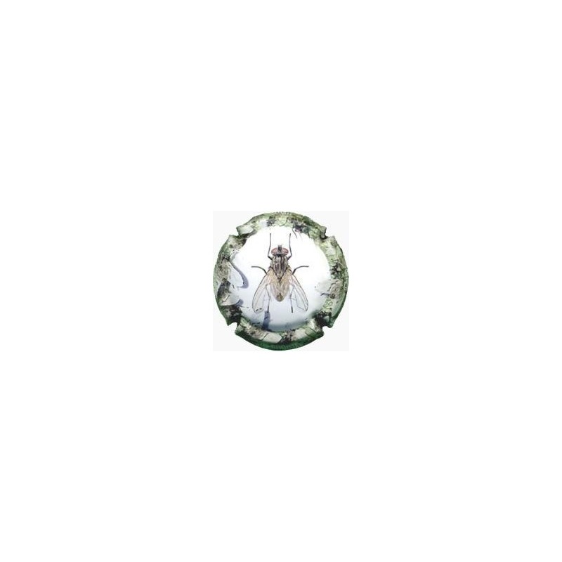 CAL LLUSIA--V.17728-X.58676