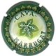 MARRUGAT-V.2406--X.00873