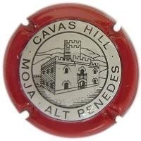 CAVAS HILL--V.0364--X.06175