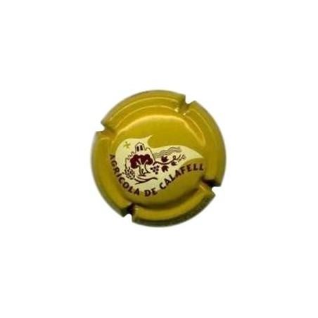 COOP. DE CALAFELL---X.76537