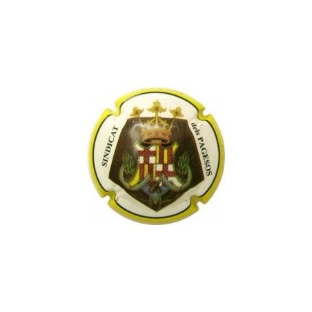 CAN APIXANO-V.4794-X.06444