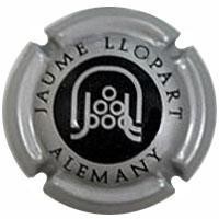 JAUME LLOPART--X.80301