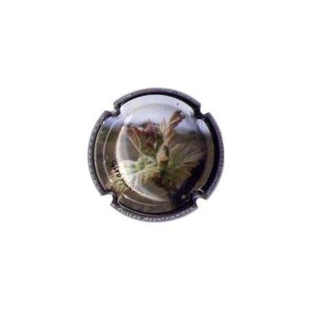 GIRO RIBOT--V.13428-X.21858