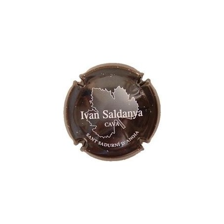 IVAN SALDANYA-V.4554-X.09779