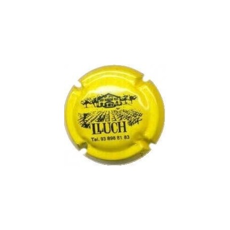 HERETAT LLUCH-V.2756-X.00810