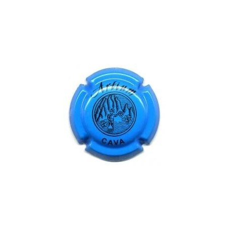 ARTIUM-V.2711-X.04210