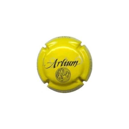 ARTIUM-V.5376-X.09684
