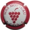 74795MAS MONCAU--V.21843--X.74795