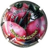 DEMI SUBTIL--X.92996