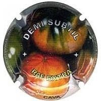 DEMI SUBTIL--X.92989