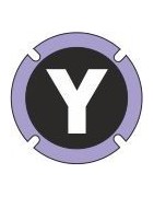 Y