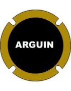Arguin