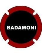 Badamoni