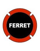 Ferret