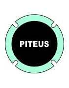 Piteus
